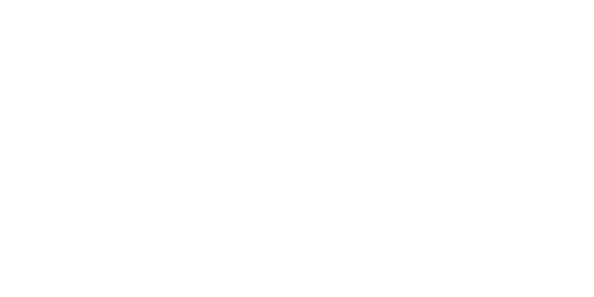 Aok-Logo